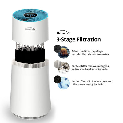 Why an Air Purifier Should be Your Next Purchase